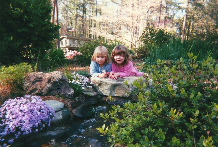 nature play discovery garden pond 